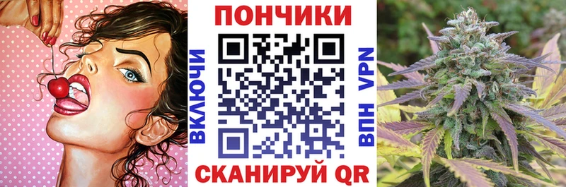 где продают наркотики  KRAKEN зеркало  Каннабис семена  Печоры 